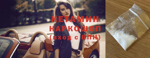 стаф Богданович