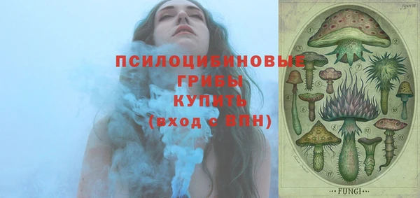 стаф Богданович