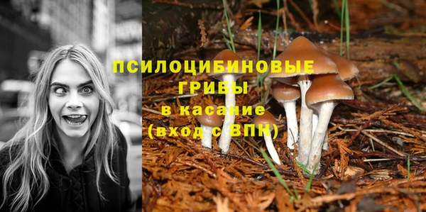 мдма Богородск