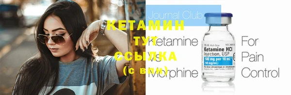 стаф Богданович