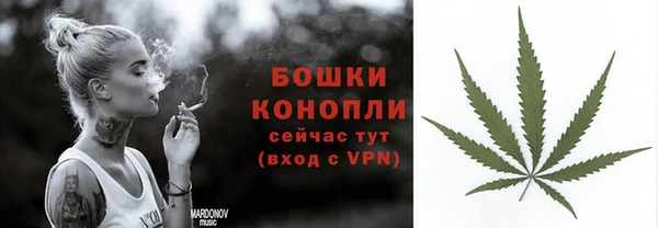 стаф Богданович