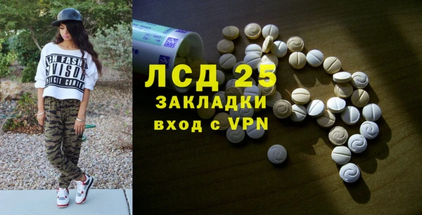 стаф Богданович
