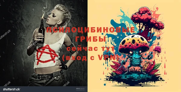 стаф Богданович