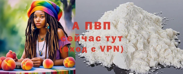 стаф Богданович