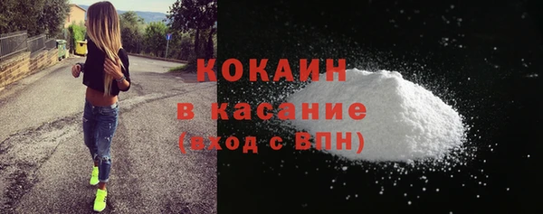 стаф Богданович