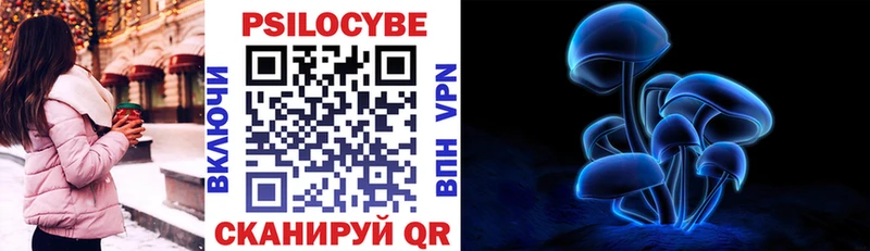 Псилоцибиновые грибы Psilocybine cubensis OMG tor Клин
